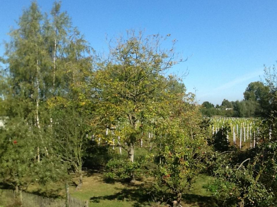 Hof Van Loverrijk Bed & Breakfast เลียร์ ภายนอก รูปภาพ