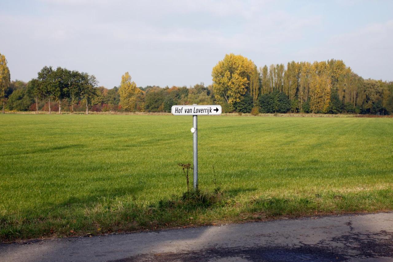 Hof Van Loverrijk Bed & Breakfast เลียร์ ภายนอก รูปภาพ